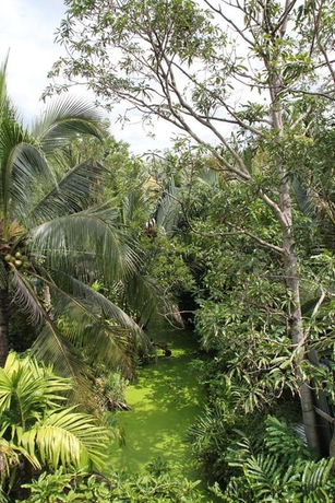 Imagen de la habitación del Hotel Baan Klangsuan Bang Korbua. Foto 16