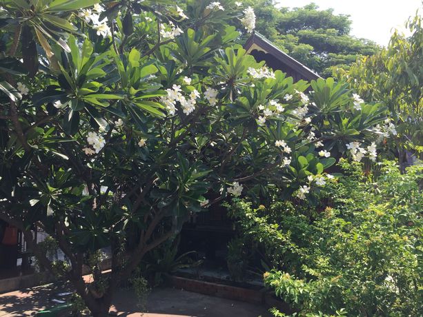 Imagen de los exteriores del Hotel Baan Kong Homestay. Foto 9