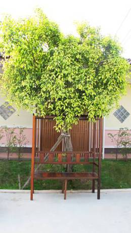 Imagen de la habitación del Hotel Baan Maesot Boutique Resort. Foto 4