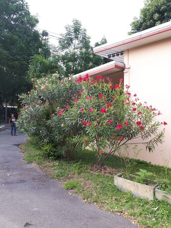 Imagen general del Hotel Baan Rimnam Resort. Foto 3