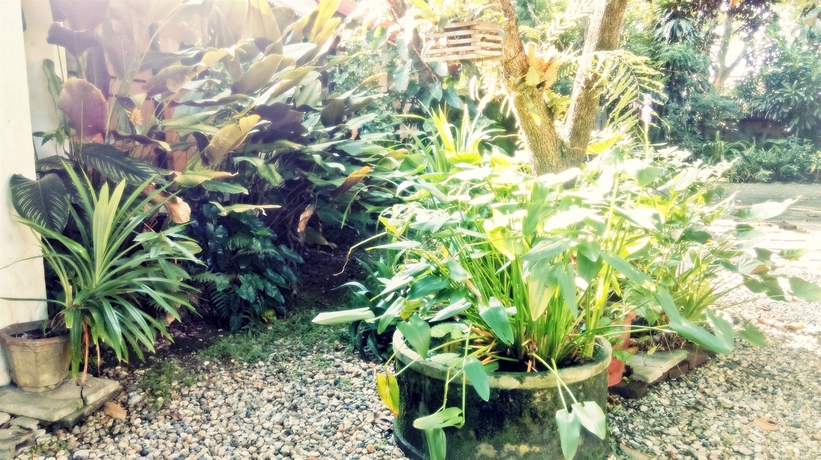 Imagen de la habitación del Hotel Baan Songjum Homestay. Foto 3