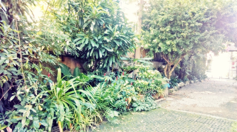 Imagen de los exteriores del Hotel Baan Songjum Homestay. Foto 14