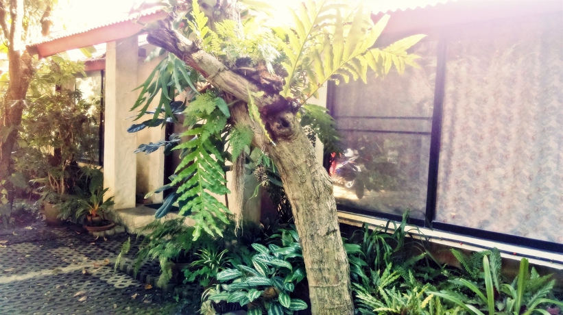 Imagen de la habitación del Hotel Baan Songjum Homestay. Foto 10