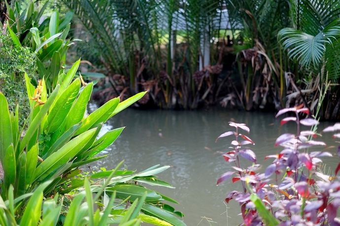 Imagen de la habitación del Hotel Baan Suan Nuanta. Foto 15