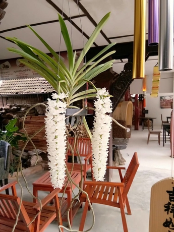 Imagen de los interiores del Hotel Baan Tawai Lanna Resort. Foto 18