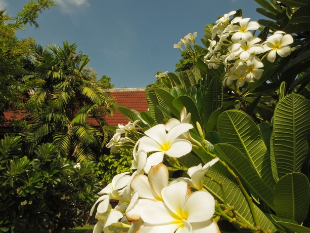 Imagen de los exteriores del Hotel Baan Thai Resort, Chiang Mai. Foto 15