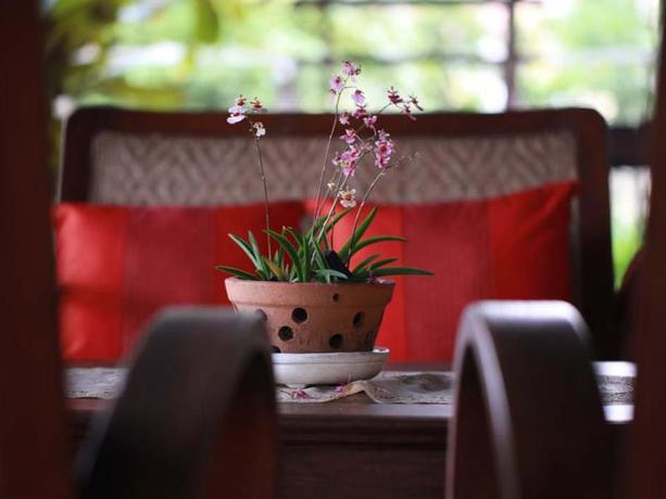 Imagen de los interiores del Hotel Baan Tye Wang Hotel. Foto 4