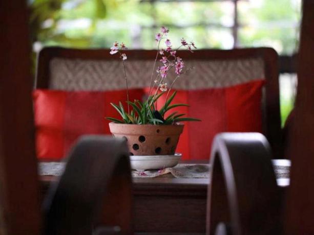 Imagen de los interiores del Hotel Baan Tye Wang Hotel. Foto 5