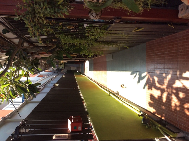 Imagen de los exteriores del Hotel Baan Yuyen Karon Guesthouse. Foto 13