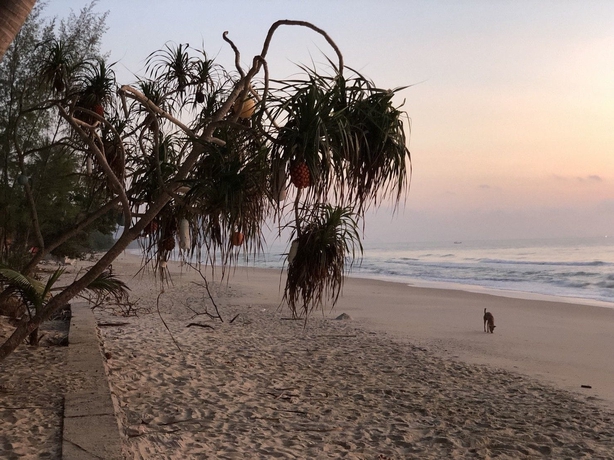 Imagen de los exteriores del Hotel Baanchaylay Resort. Foto 13