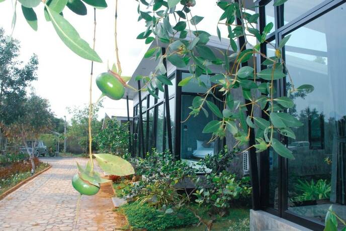 Imagen general del Hotel Baannok Plaina Homestay. Foto 10