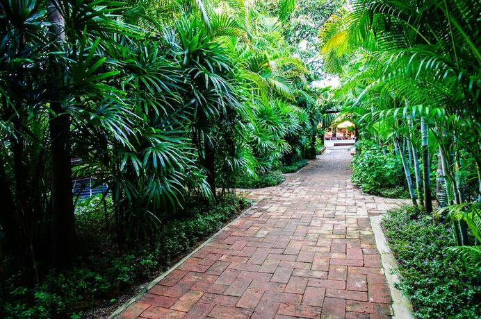 Imagen general del Hotel Baanpong Lodge. Foto 6