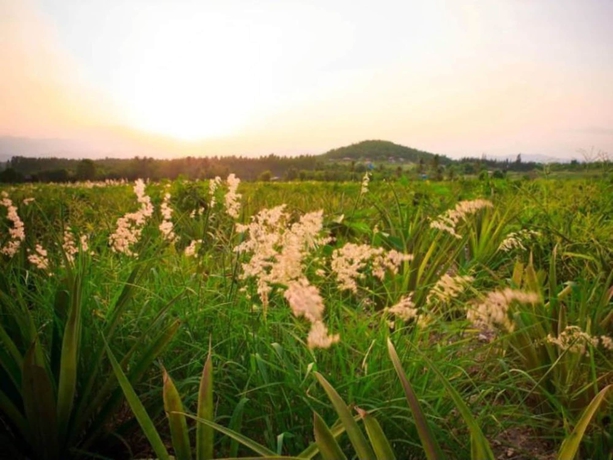 Imagen de los exteriores del Hotel Baanrai Areeya. Foto 15