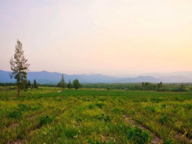 Imagen general del Hotel Baanrai Areeya. Foto 2