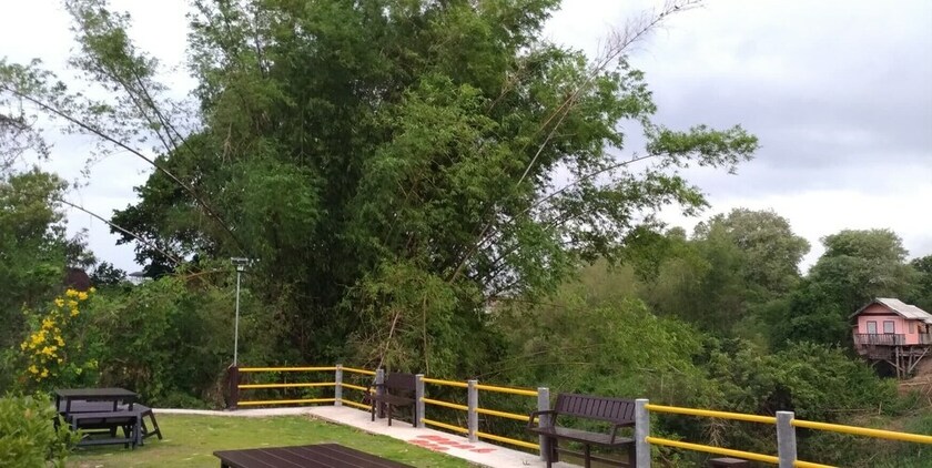 Imagen de la habitación del Hotel Baansri Family. Foto 24