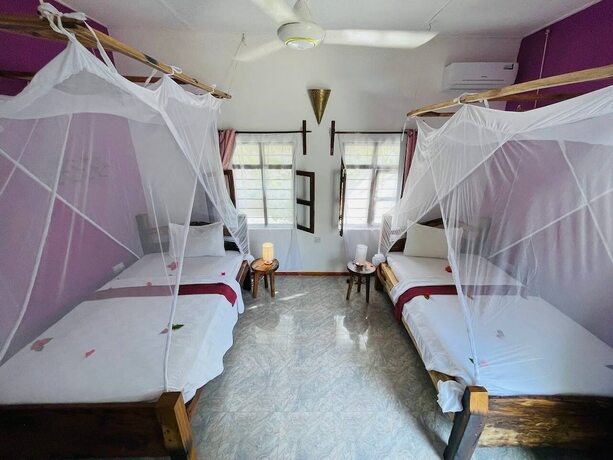 Imagen general del Hotel Babalao Bungalows. Foto 3