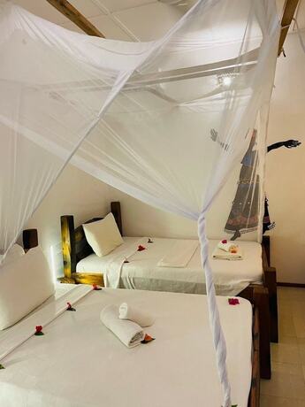 Imagen de la habitación del Hotel Babalao Bungalows. Foto 14