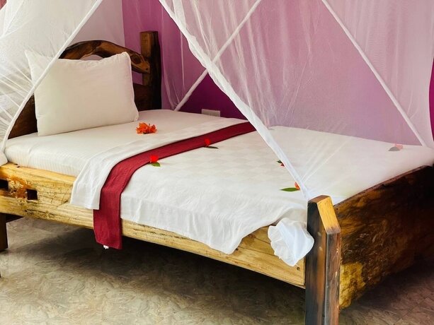 Imagen general del Hotel Babalao Bungalows. Foto 6