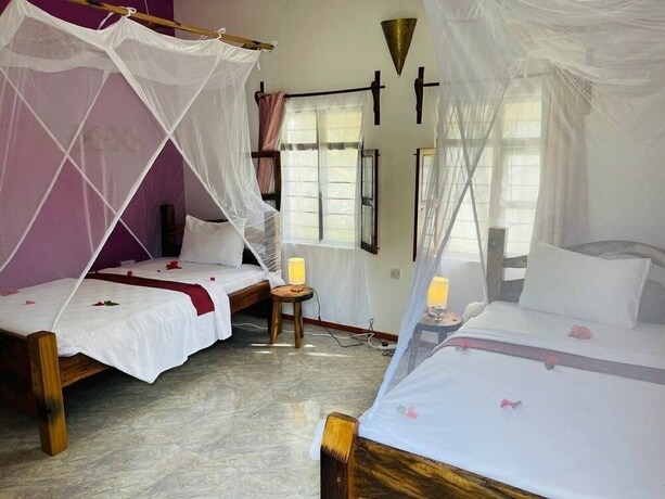 Imagen general del Hotel Babalao Bungalows. Foto 9