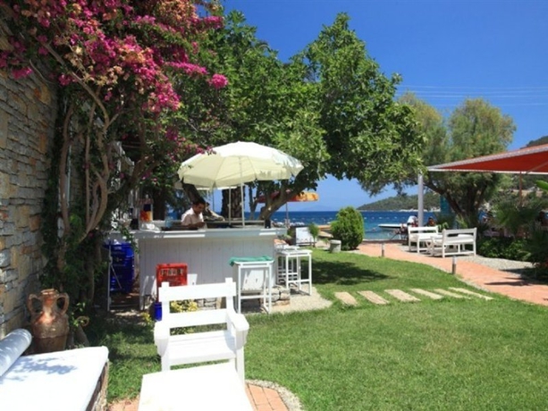 Imagen general del Hotel Babana. Foto 4