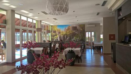 Imagen general del Hotel Babic, Vranovača. Foto 6