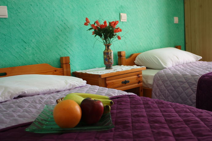 Imagen de la habitación del Hotel Babis and Katerina Studios. Foto 9
