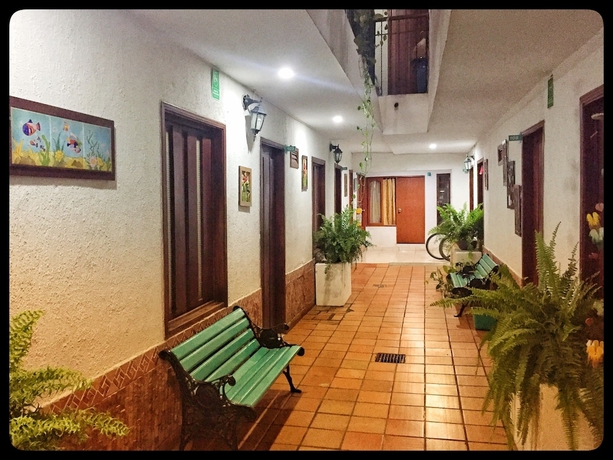 Imagen de los interiores del Hotel Bacano Hostel. Foto 15