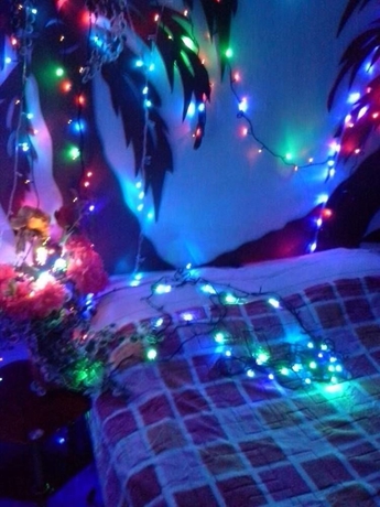 Imagen de la habitación del Hotel Bachelor Inn. Foto 3