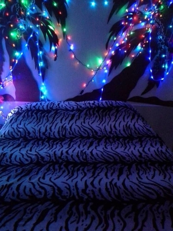 Imagen de la habitación del Hotel Bachelor Inn. Foto 4