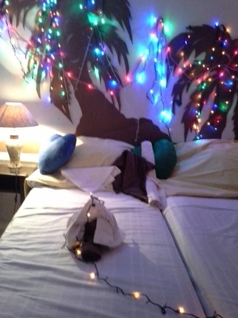 Imagen de la habitación del Hotel Bachelor Inn. Foto 6