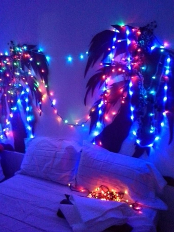 Imagen de la habitación del Hotel Bachelor Inn. Foto 7