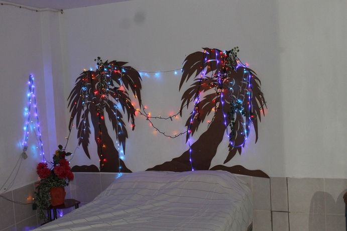 Imagen de la habitación del Hotel Bachelor Inn. Foto 11