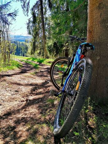 Imagen general del Hotel Bachled&oacute;wka. Foto 7