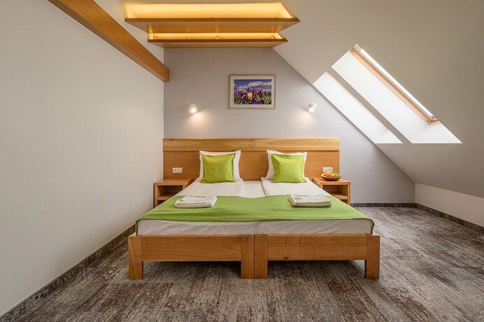 Imagen de la habitación del Hotel Bachled&oacute;wka. Foto 17