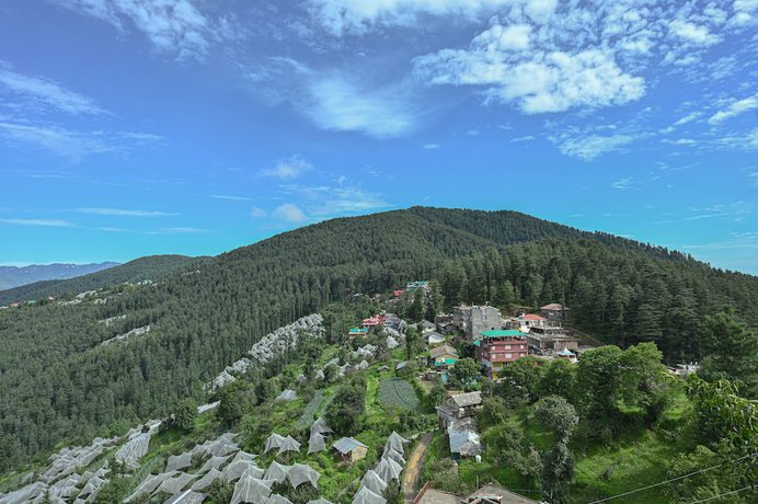 Imagen general del Hotel Back Wood Stays Cheog. Foto 5