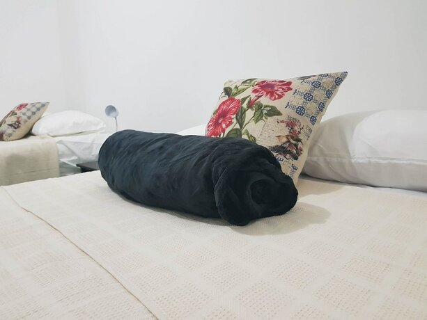 Imagen de la habitación del Hotel Backpackers Inn Medellin. Foto 12