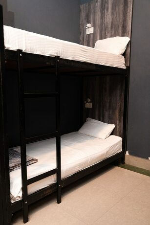 Imagen de la habitación del Hotel Backpackers Park. Foto 11