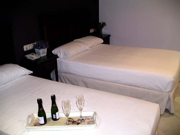 Imagen de la habitación del Hotel Baco. Foto 15