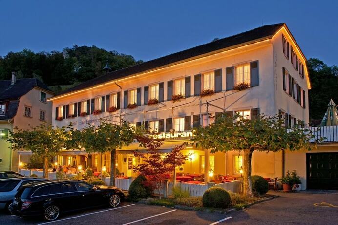 Imagen general del Hotel Bad Eptingen. Foto 7