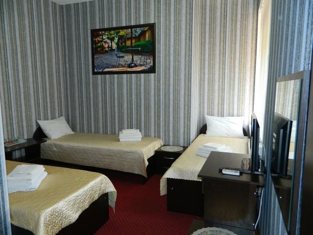 Imagen de la habitación del Hotel Baden-baden. Foto 8