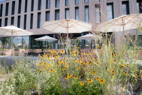 Imagen general del Hotel Bader. Foto 6