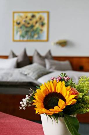 Imagen de la habitación del Hotel Badhotel Bad Br&uuml;ckenau. Foto 5