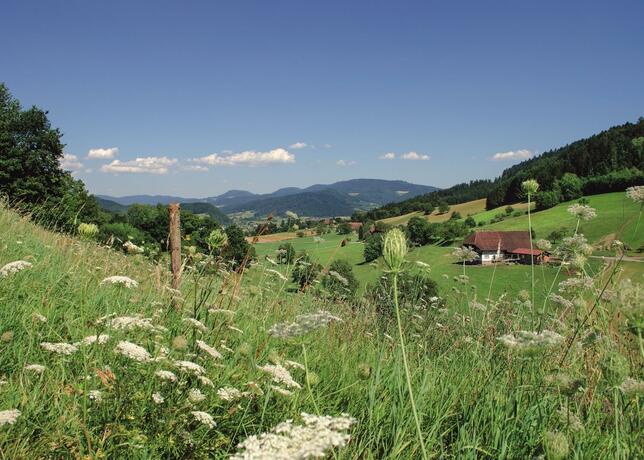 Imagen general del Hotel Badischer Hof, Biberach. Foto 4