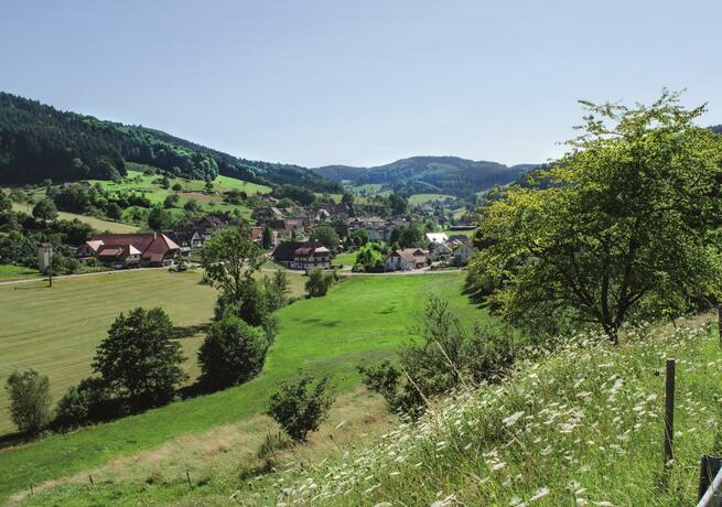 Imagen general del Hotel Badischer Hof, Biberach. Foto 69