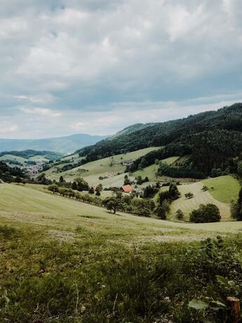 Imagen general del Hotel Badischer Hof. Foto 84