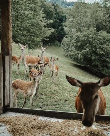 Imagen general del Hotel Badischer Hof. Foto 90