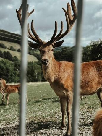 Imagen general del Hotel Badischer Hof. Foto 92