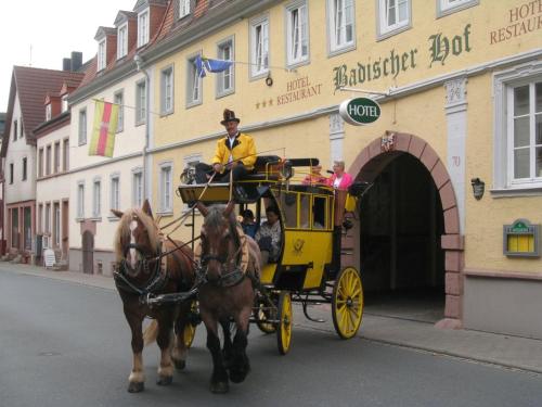 Imagen general del Hotel Badischer Hof, Tauberbischofsheim. Foto 4