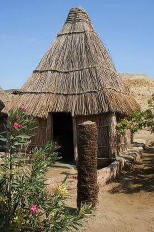 Imagen general del Hotel Badry Sahara Camp. Foto 14