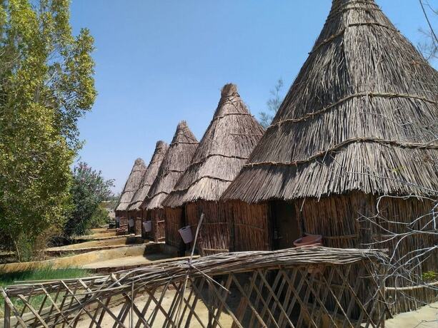 Imagen general del Hotel Badry Sahara Camp. Foto 17